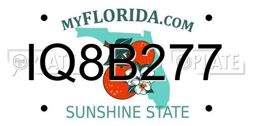 IQ8B277 Florida License Plate