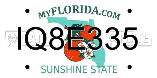IQ8E335 Florida License Plate