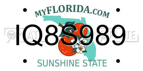 IQ8S989 Florida License Plate