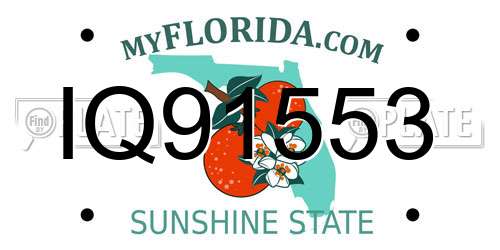 IQ91553 Florida License Plate