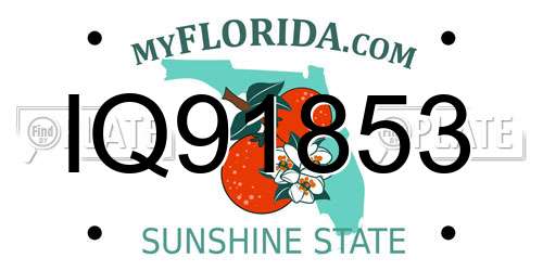 IQ91853 Florida License Plate