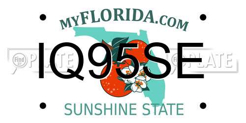 IQ95SE Florida License Plate