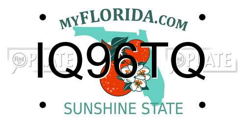 IQ96TQ Florida License Plate
