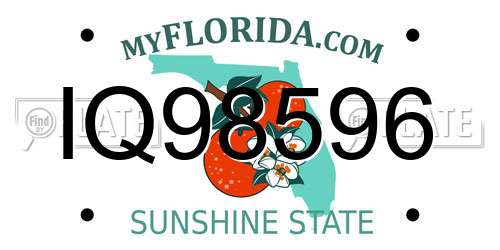 IQ98596 Florida License Plate