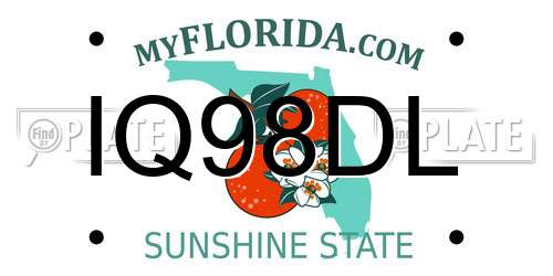 IQ98DL Florida License Plate