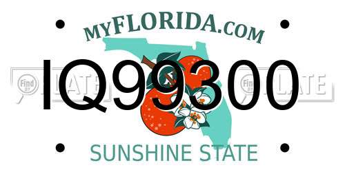 IQ99300 Florida License Plate