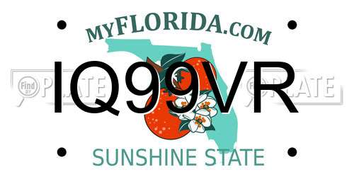 IQ99VR Florida License Plate