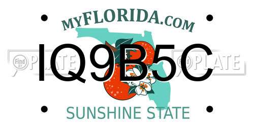 IQ9B5C Florida License Plate