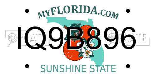 IQ9B896 Florida License Plate