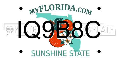 IQ9B8C Florida License Plate