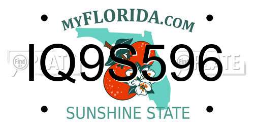IQ9S596 Florida License Plate