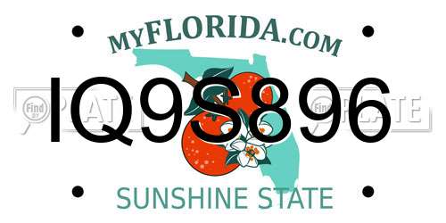 IQ9S896 Florida License Plate