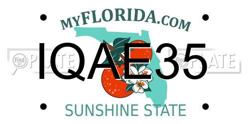IQAE35 Florida License Plate