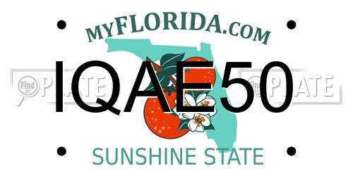 IQAE50 Florida License Plate