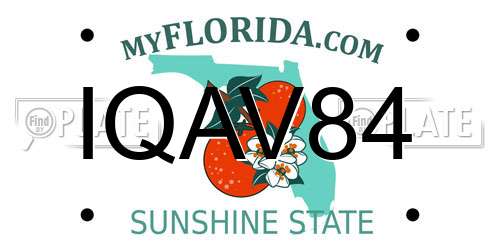 IQAV84 Florida License Plate