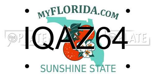 IQAZ64 Florida License Plate