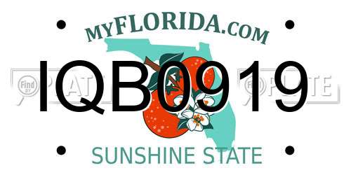IQB0919 Florida License Plate