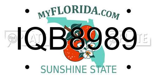 IQB8989 Florida License Plate