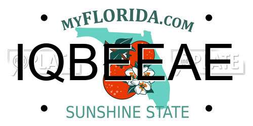 IQBEEAE Florida License Plate