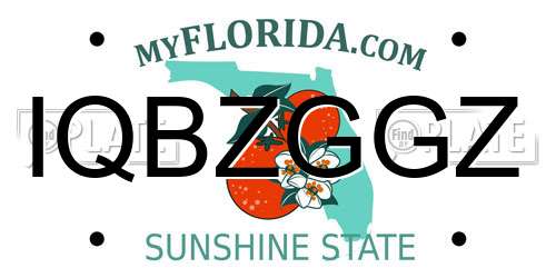 IQBZGGZ Florida License Plate