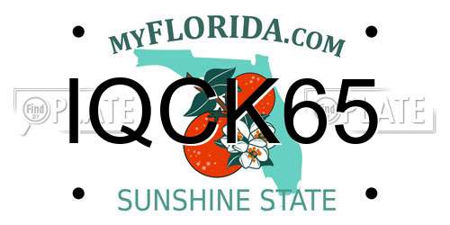 IQCK65 Florida License Plate