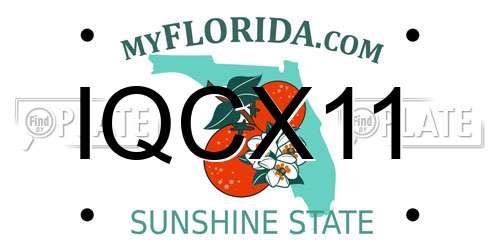 IQCX11 Florida License Plate