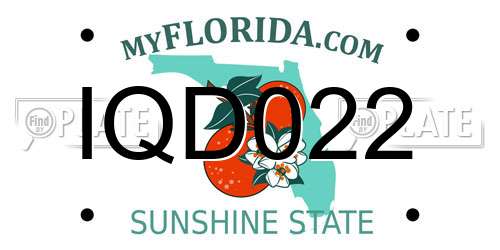 IQD022 Florida License Plate