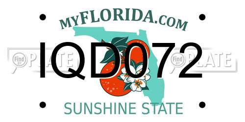 IQD072 Florida License Plate