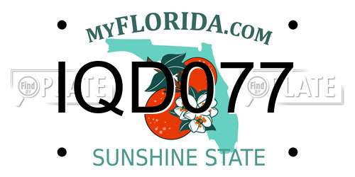 IQD077 Florida License Plate