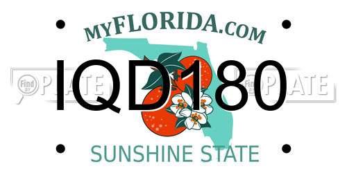 IQD180 Florida License Plate