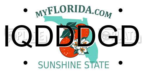 IQDDDGD Florida License Plate