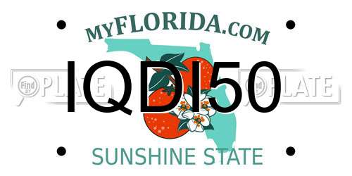 IQDI50 Florida License Plate