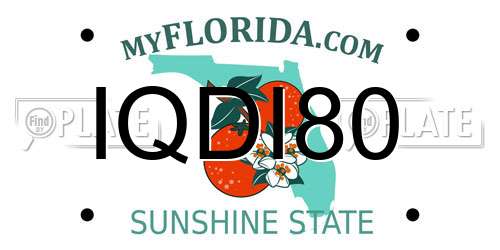 IQDI80 Florida License Plate