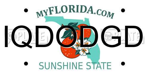 IQDODGD Florida License Plate