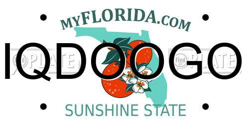 IQDOOGO Florida License Plate