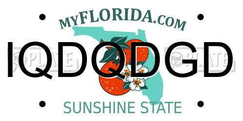IQDQDGD Florida License Plate
