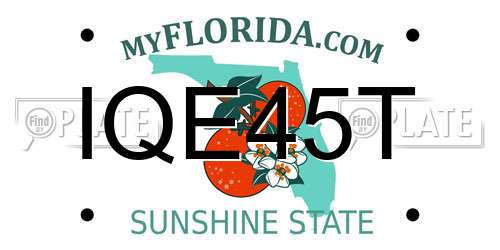 IQE45T Florida License Plate