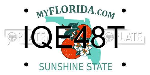 IQE48T Florida License Plate