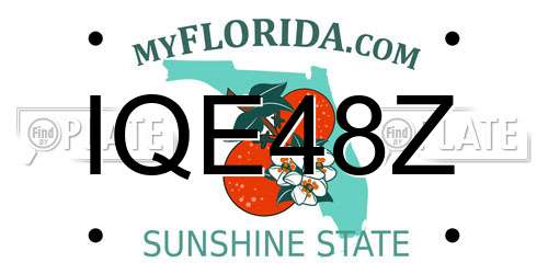 IQE48Z Florida License Plate
