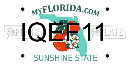 IQEF11 Florida License Plate