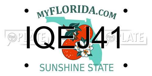 IQEJ41 Florida License Plate