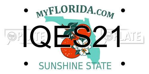 IQES21 Florida License Plate