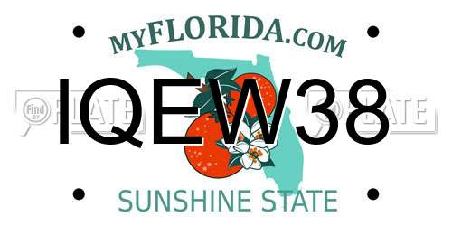 IQEW38 Florida License Plate