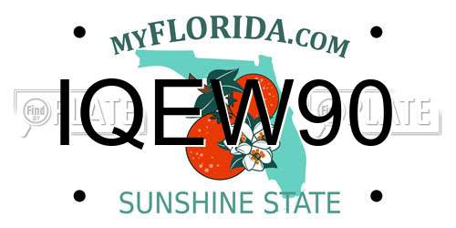 IQEW90 Florida License Plate