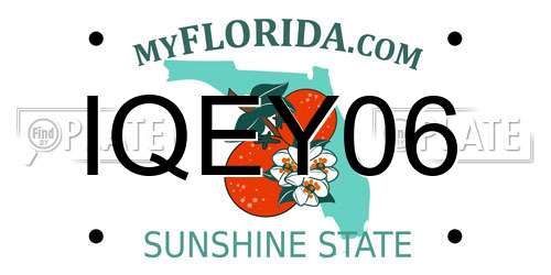 IQEY06 Florida License Plate