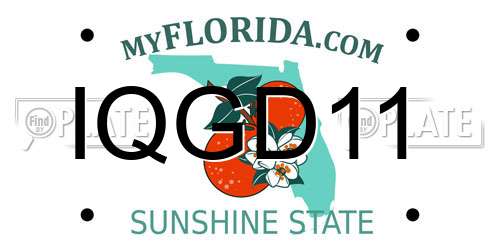 IQGD11 Florida License Plate