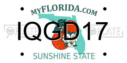 IQGD17 Florida License Plate