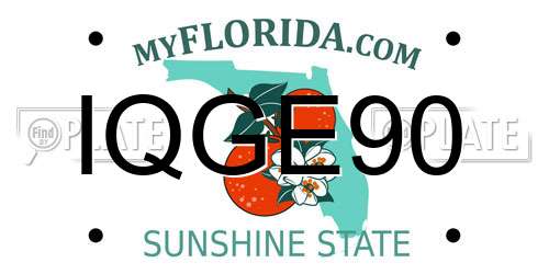 IQGE90 Florida License Plate