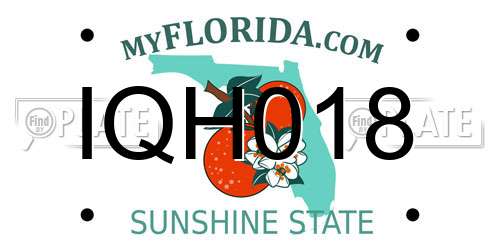 IQH018 Florida License Plate