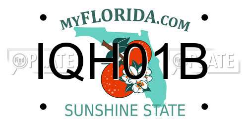 IQH01B Florida License Plate